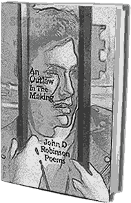 an Outlaw in the Making, a John D Robinson book