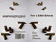 How a Bullet Behaves, a  Cara Losier Chanoine book