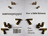 How a Bullet Behaves, a Cara Losier Chanoine book