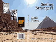 Seeing Strangers, a Mark Fleury book