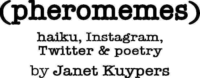 (pheromemes) haiku, Instagram, Twitter, & poetry