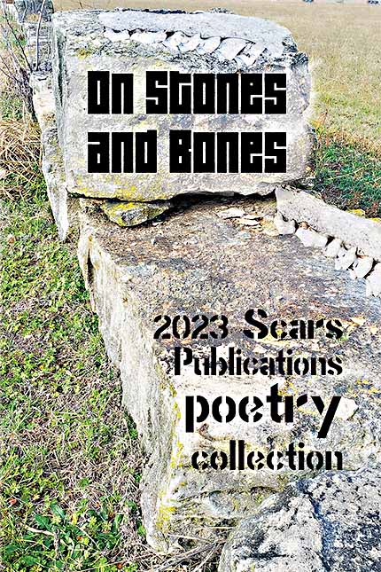 “On Stones and Bones” front cover