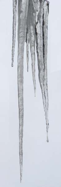 20100227iciclesLville5235