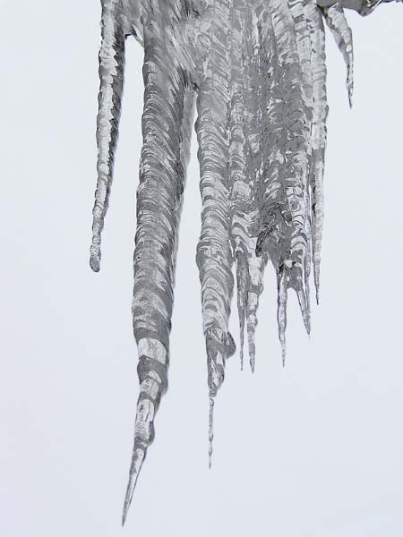 20100227iciclesLville5236