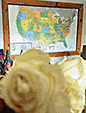 white roses and U.S. map